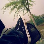 柴凯翔的个人资料头像