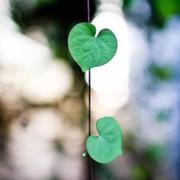 宜远的个人资料头像