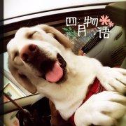 听音小窝的个人资料头像