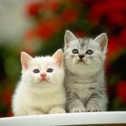 徐静重名了的个人资料头像