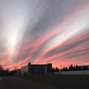 黄新的个人资料头像