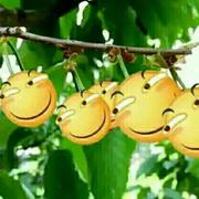 张张张同志37791的个人资料头像