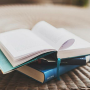 IcexTX的个人资料头像