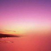 豆豆君37909的个人资料头像