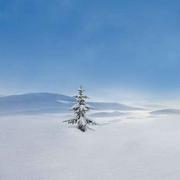 蔡强的个人资料头像