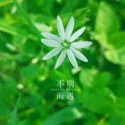 青春用奋斗书写的个人资料头像
