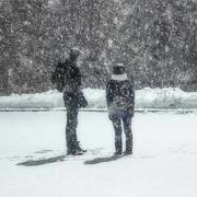 岳平的个人资料头像