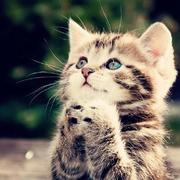 LGLee的个人资料头像