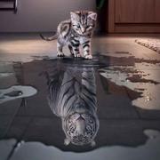 sima的个人资料头像