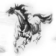 EugeneHuang驹的个人资料头像