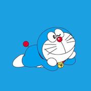 FreddyZeng的个人资料头像