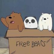 wedog的个人资料头像