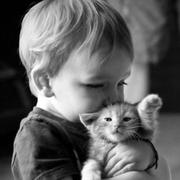 夜雨闻铃同志的个人资料头像