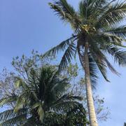 居康的个人资料头像