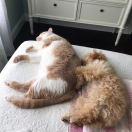 Hunter爱学习38551的个人资料头像