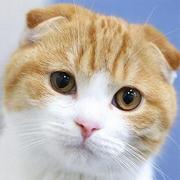 melon君38554的个人资料头像