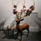 李志華的个人资料头像