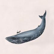 StephenHugh的个人资料头像