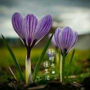 诺晨1998的个人资料头像