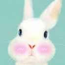 啃萝卜的兔子的个人资料头像