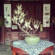 寂若子的个人资料头像