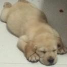 尹超的个人资料头像