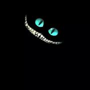 CDz1129的个人资料头像