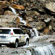 迪梦乐的个人资料头像