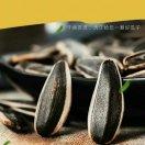 田海的个人资料头像