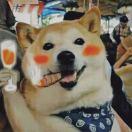 zoolsher君的个人资料头像