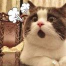 范哥的个人资料头像