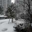 静若繁花的个人资料头像