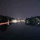 叔鱼的个人资料头像