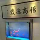 油菜花本尊的个人资料头像