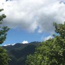 鑫重名了39117的个人资料头像