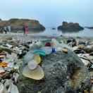 范媛媛的个人资料头像