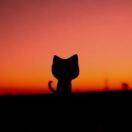 Learning39175的个人资料头像