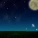 yu同学39181的个人资料头像