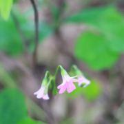 yyw蔚然的个人资料头像