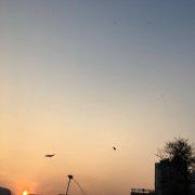 搜捕儿的个人资料头像