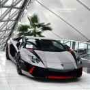 谷德的个人资料头像