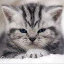 colo君的个人资料头像