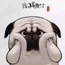 伦胖胖不胖的个人资料头像