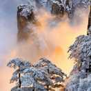 清风徐来君39273的个人资料头像