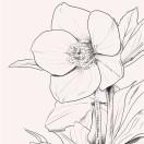 无奈就是我39311的个人资料头像