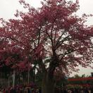 张宏同学的个人资料头像