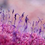 mxdlzg的个人资料头像