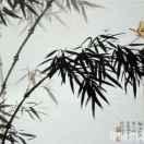 gxfvh的个人资料头像