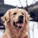 GoodLuck39343的个人资料头像