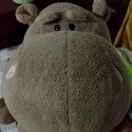 肉包特的个人资料头像